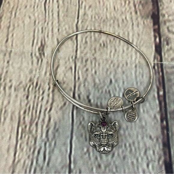 Alex and Ani Lioness Charm Bracelet - Picture 1 of 3